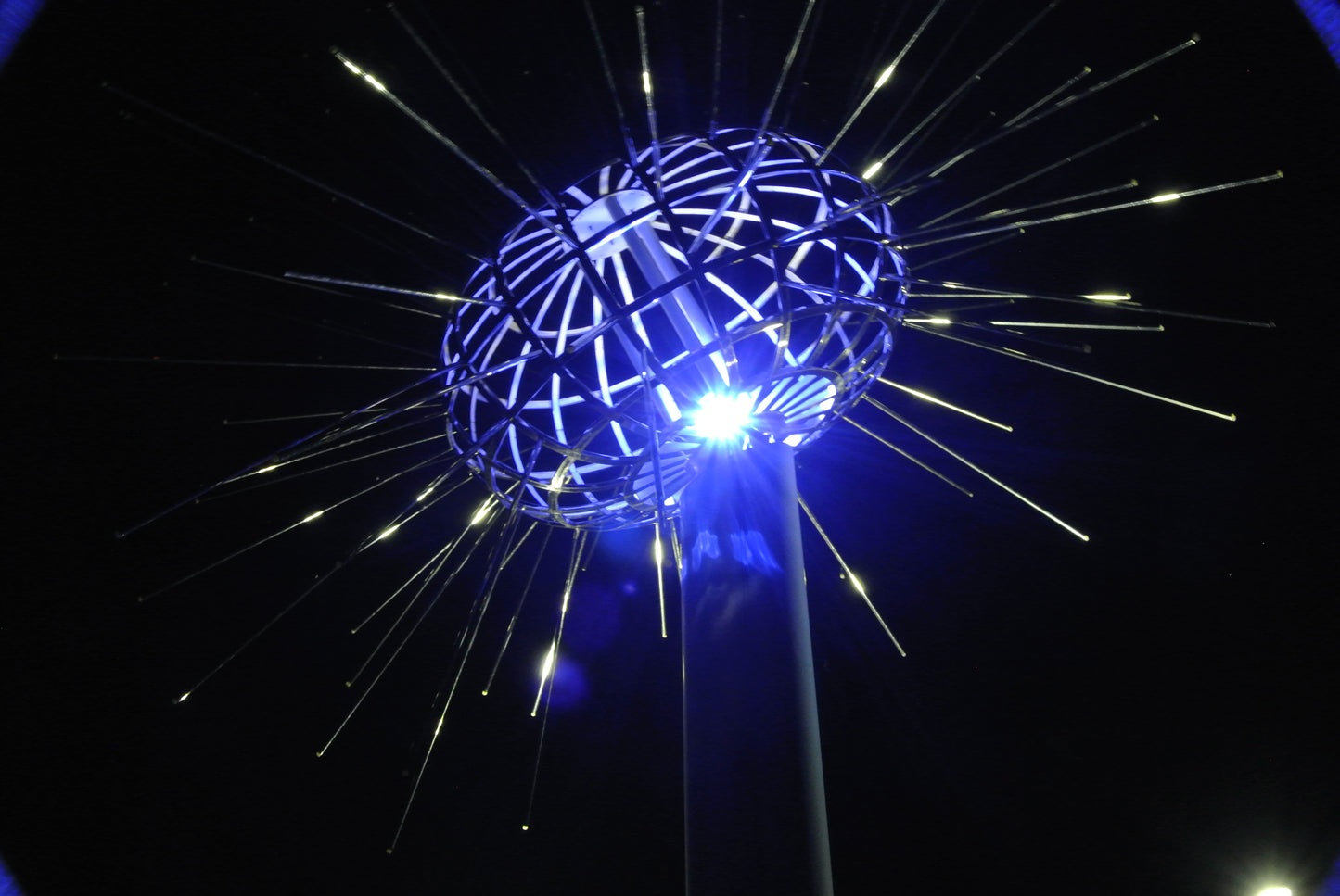 碧 化粧水 (50㎖)