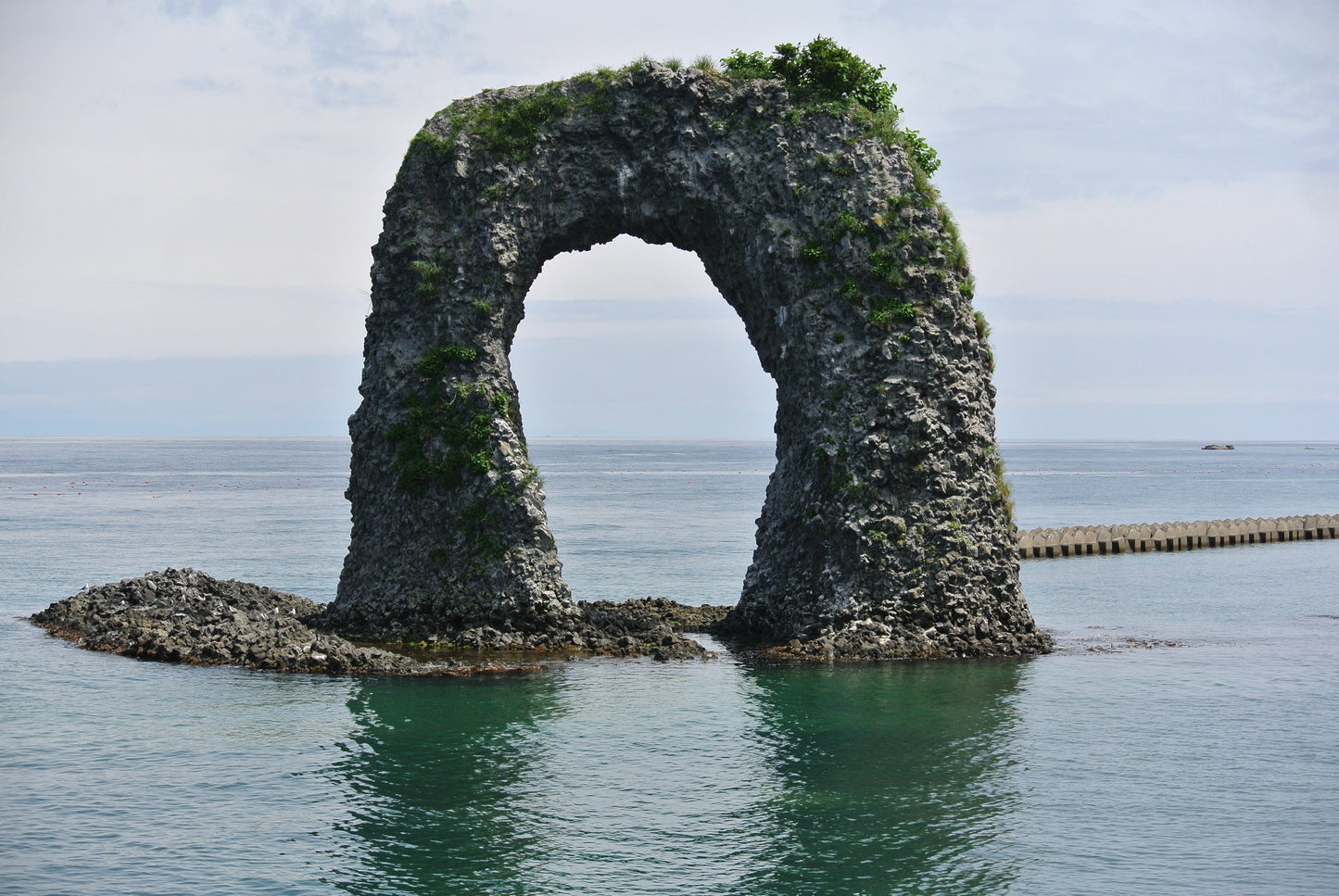 碧 液体石鹸 (洗顔用150㎖) 2本セット